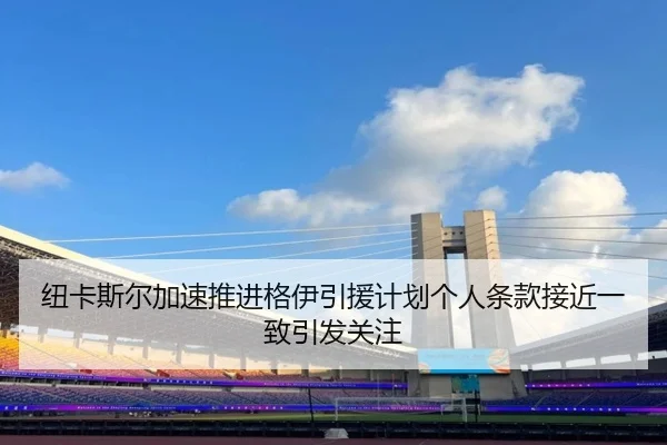 纽卡斯尔加速推进格伊引援计划个人条款接近一致引发关注